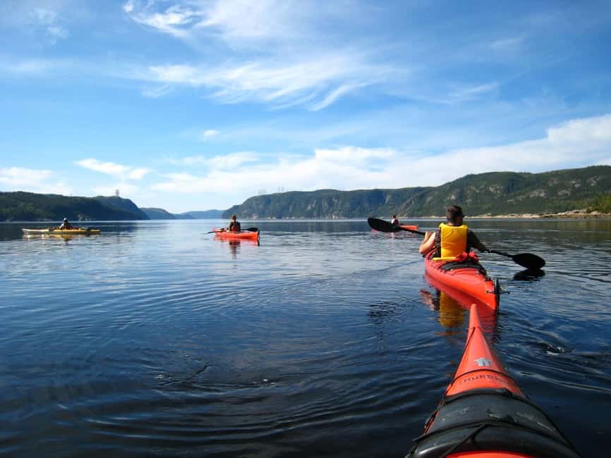 Tadoussac: Guided Sea Kayaking Adventure - Gear and comfort: what’s included, what’s not, and how to dress