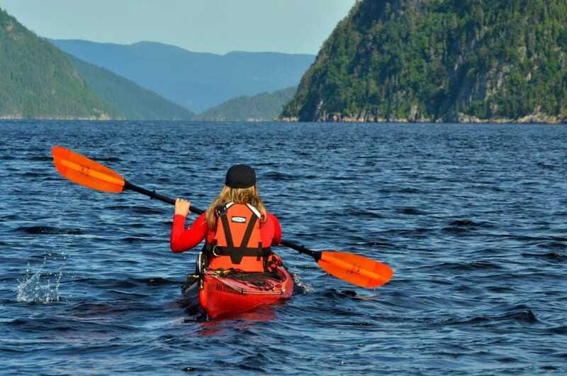 Tadoussac: Guided Sea Kayaking Adventure - Timing, pace, and group feel: a 2–3 hour fjord experience that won’t chew up your day
