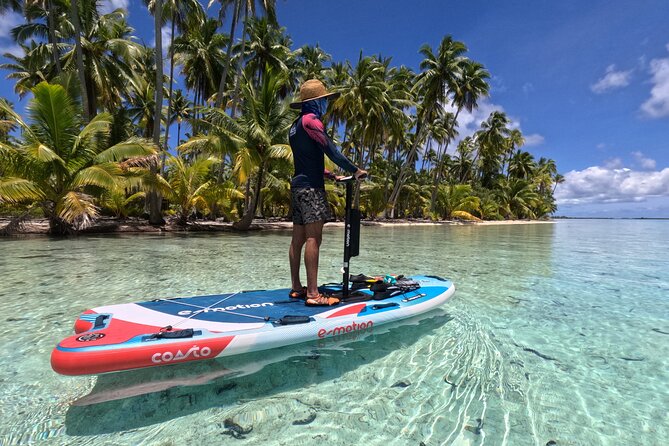 Tahaa Excursion in Electric Paddle Snorkeling Coral Garden - Why Electric Paddleboarding Feels Different Here