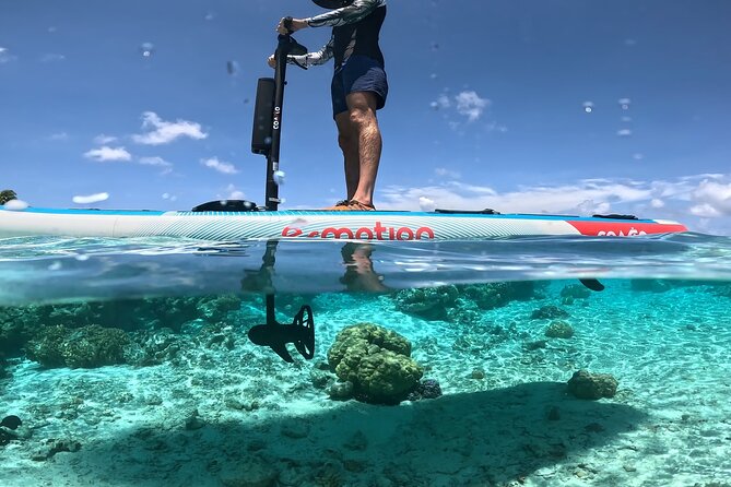 Tahaa Excursion in Electric Paddle Snorkeling Coral Garden - Small Group Size Means More Attention on the Water