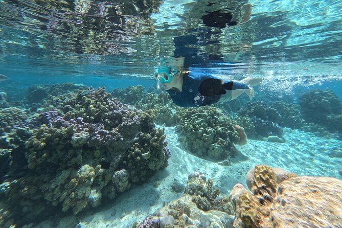 Tahaa Excursion in Electric Paddle Snorkeling Coral Garden - The GoPro Photo/Video Pack Is a Smart Included Extra