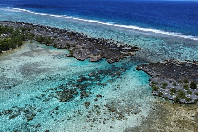 Tahaa Excursion in Electric Paddle Snorkeling Coral Garden - Price and Value: Is $128.23 Fair for This 3-Hour Experience?