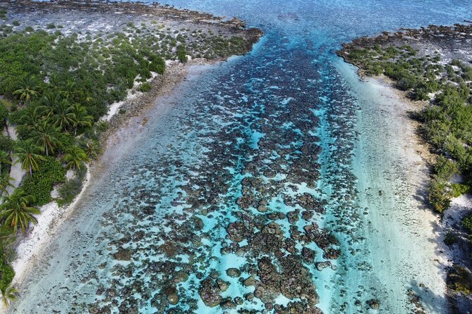 Tahaa Excursion in Electric Paddle Snorkeling Coral Garden - Weather, Safety, and Who This Tour Fits