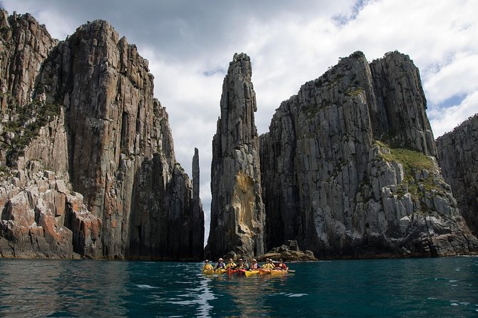Tasman Peninsula full day kayaking tour - Morning logistics: Cambridge pickup and getting to Tasman National Park