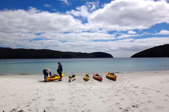 Tasman Peninsula full day kayaking tour - Price and value: what $129 buys you (and why it’s more than a kayak rental)