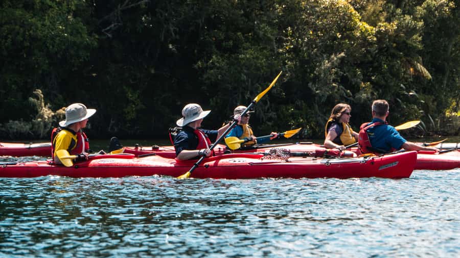Tauranga: Daytime Scenic Lake McLaren Kayak Tour - Why Lake McLaren Feels Like Paddling on Glass