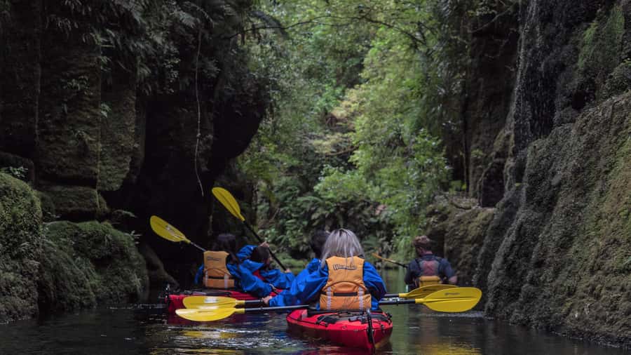 Tauranga: Daytime Scenic Lake McLaren Kayak Tour - Meeting in Bethlehem and Getting to the Launch Smoothly