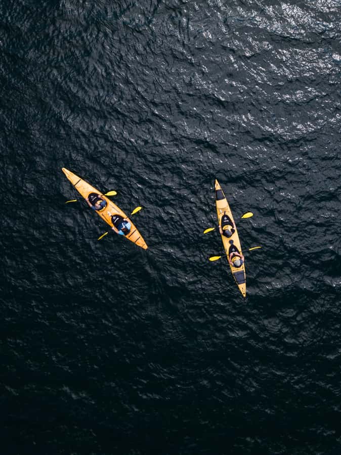 Tauranga: Daytime Scenic Lake McLaren Kayak Tour - Birdlife at Paddle Reach: What You’ll Actually Notice
