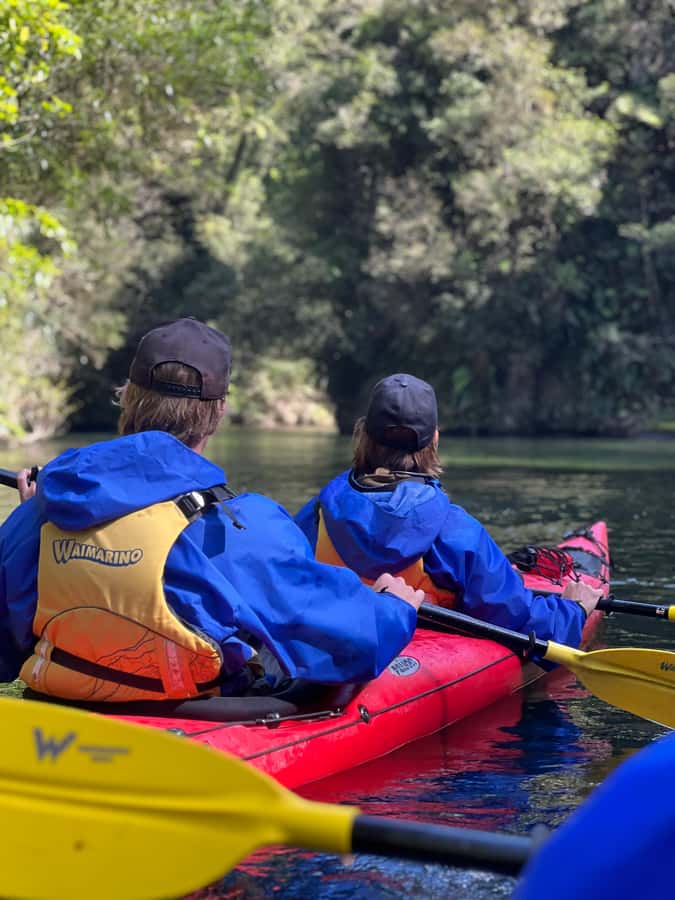 Tauranga: Daytime Scenic Lake McLaren Kayak Tour - Mangapapa Canyon: Native Bush That Forms a Cave Feeling