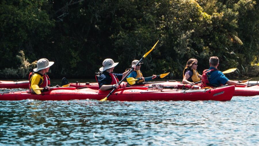 Tauranga: Daytime Scenic Lake McLaren Kayak Tour - Price Check: Is $104 Good Value for 3 Hours?