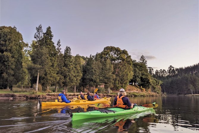 Tauranga: Evening Glowworm Kayak Tour - First Stop: Te Reka O Te Whenua on Lake McLaren