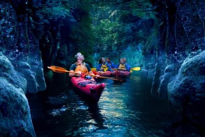 Tauranga: Evening Glowworm Kayak Tour - What the Boat Gear Really Means (Fleeces, Spray Decks, and Comfort)