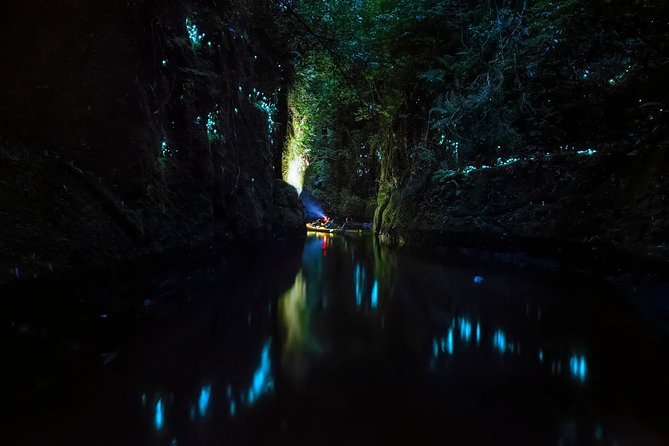 Tauranga: Evening Glowworm Kayak Tour - Price and Value: Is $134 Worth It?