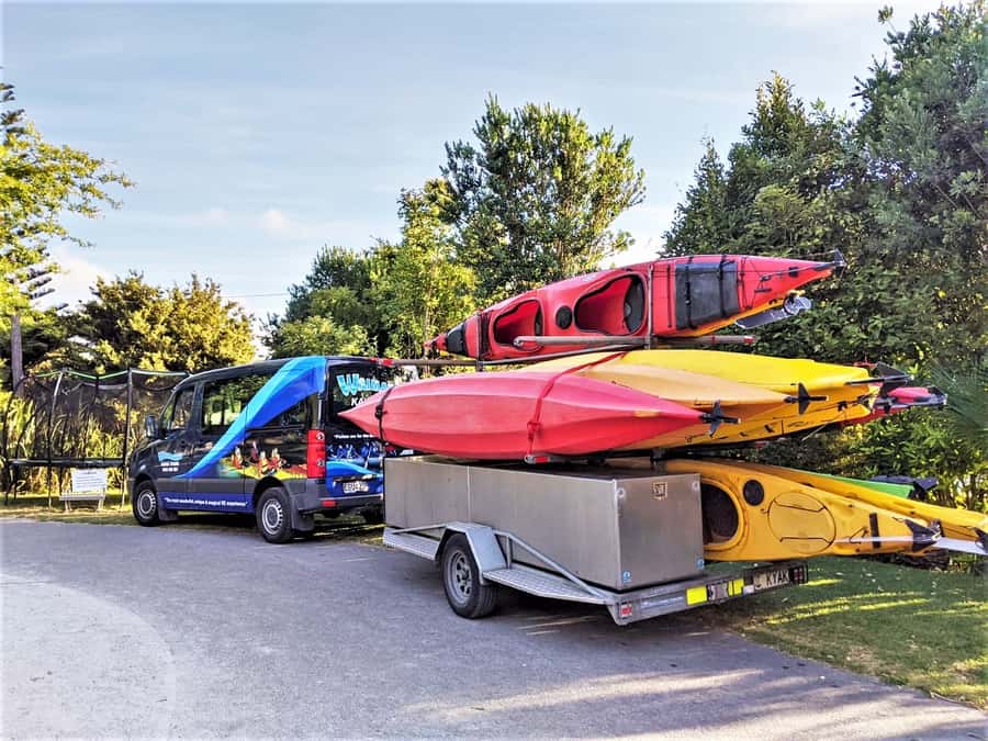 Tauranga: Evening Glowworm Kayak Tour - Should You Book Tauranga Evening Glowworm Kayak Tour?