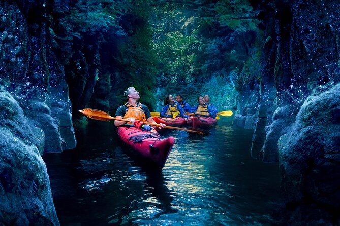 Tauranga: Evening Glowworm Kayak Tour - What the Boat Gear Really Means (Fleeces, Spray Decks, and Comfort)