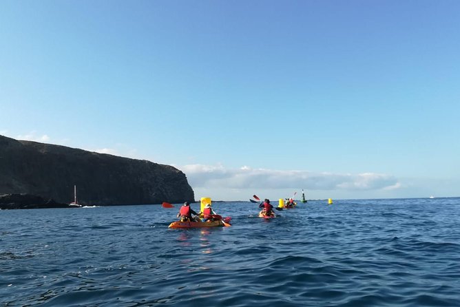 Tenerife by Kayak Adventure in small group - Why This Kayak-and-Snorkel Combo Feels So Good in Tenerife