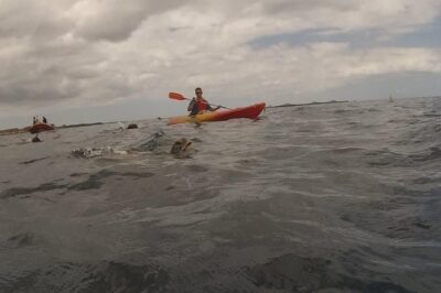 Tenerife by Kayak Adventure in small group - The Stops That Shape the Trip: Guaza, Los Cristianos, the Academy, Palm-Mar