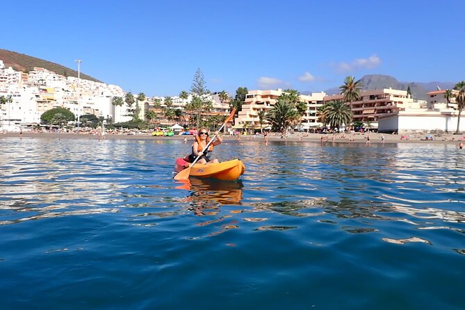 Tenerife: Kayak and snorkel with marine life safari - The marine-life safari part: dolphins, turtles, and how to play your odds