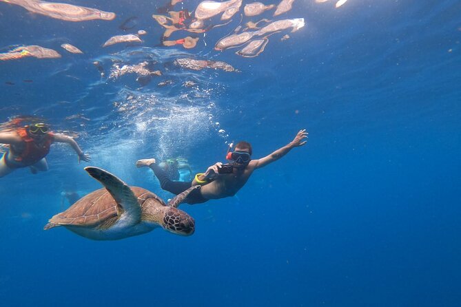 Tenerife: Kayak and snorkel with marine life safari - Snorkeling gear, wetsuits, and the cold-water comfort factor