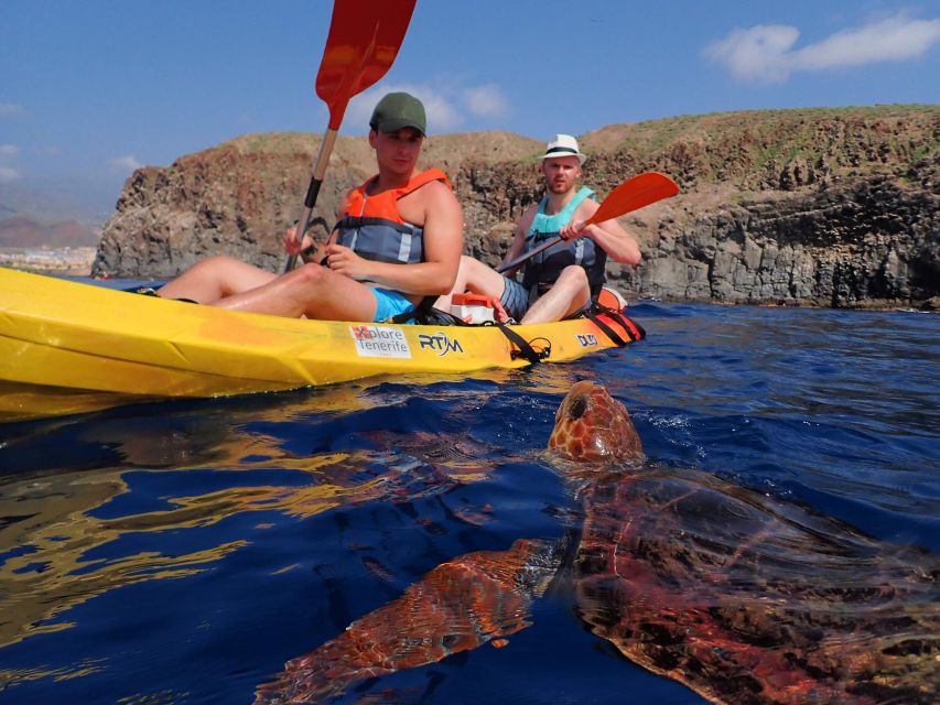 Tenerife: Kayak and Snorkel with Turtles, Wetsuits Included - Eco-Certified Kayaking Means You’re Watching, Not Herding