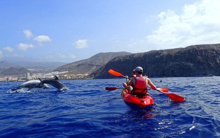 Tenerife: Kayak and Snorkel with Turtles, Wetsuits Included - Second Playa Session: Keeping Your Eyes Open for Turtles