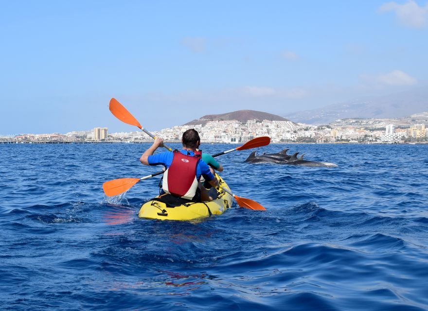 Tenerife: Kayak and Snorkel with Turtles, Wetsuits Included - The Snorkel Break: Where the Water Does the Talking