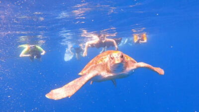 Tenerife: Kayak and Snorkeling Tour with Photos - The 2.5-hour kayaking rhythm: learning fast, moving at a real pace