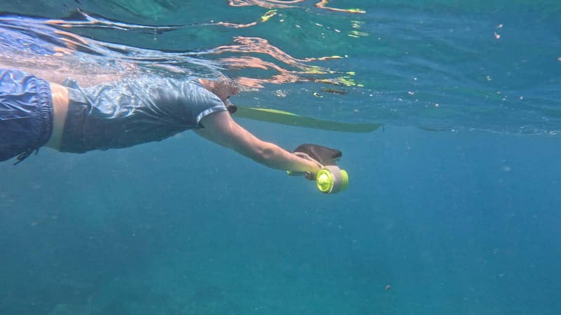 Tenerife: Kayak and Snorkeling Tour with Photos - Photos, lockers, and insurance: why the value feels real at $32