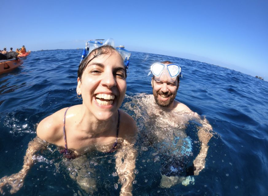 Tenerife: Kayak Safari and Snorkel in a Marine Reserve - Wildlife Reality Check (Sea Turtles and Dolphins)
