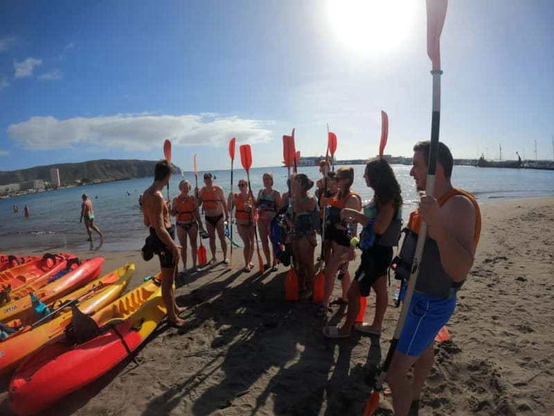 Tenerife: Kayak Sea Safari with Snorkel and Snacks - Who Should Book This Kayak Sea Safari (and Who Should Skip It)