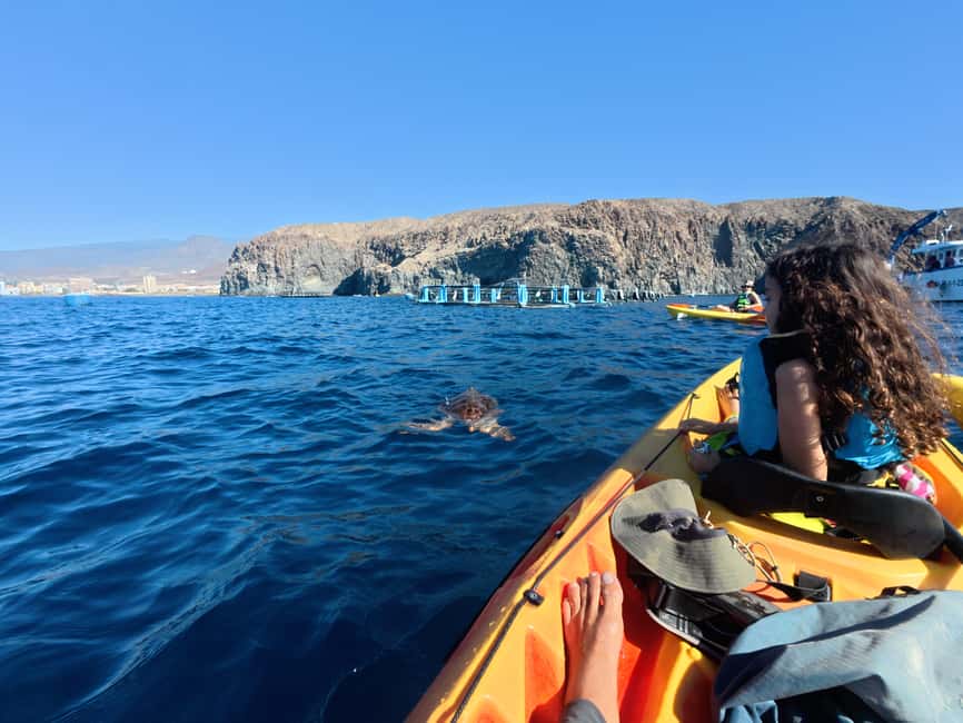 Tenerife: Kayak Sea Safari with Snorkel and Snacks - How the Tour Runs in Real Life: Weather and Group Flow