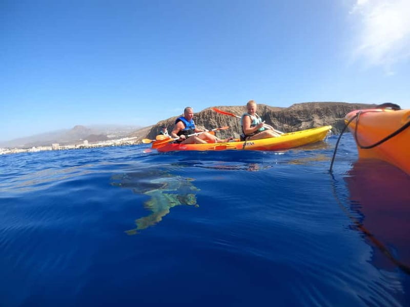 Tenerife: Kayak & Snorkel Tour with Snacks & Sea Life Safari - Snorkeling Break: Gear Provided, Swim Options Included