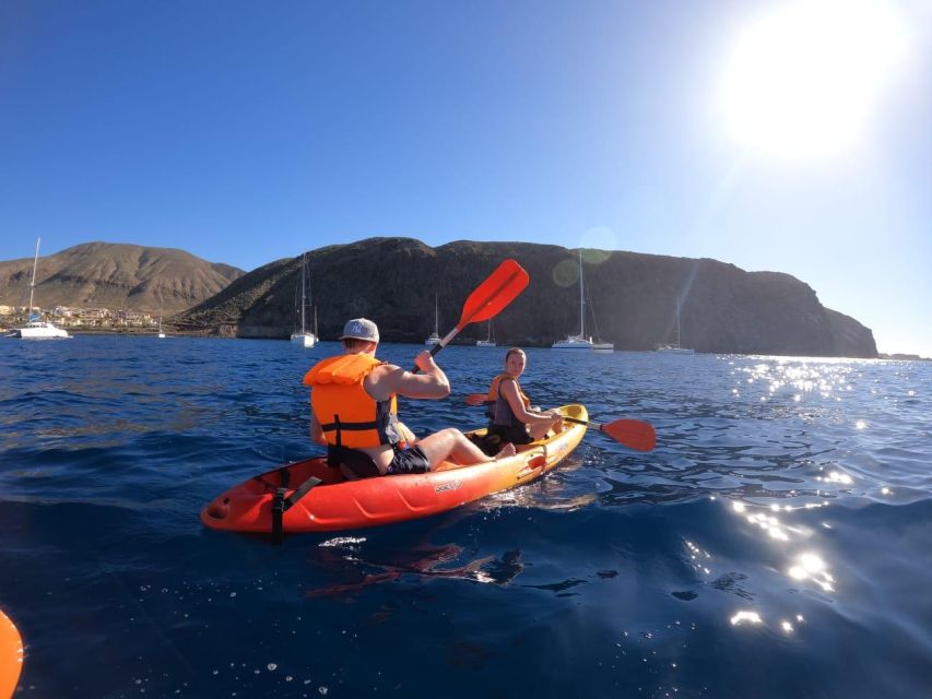 Tenerife: Kayak & Snorkel Tour with Snacks & Sea Life Safari - Wildlife Reality Check: Dolphins, Turtles, and Luck