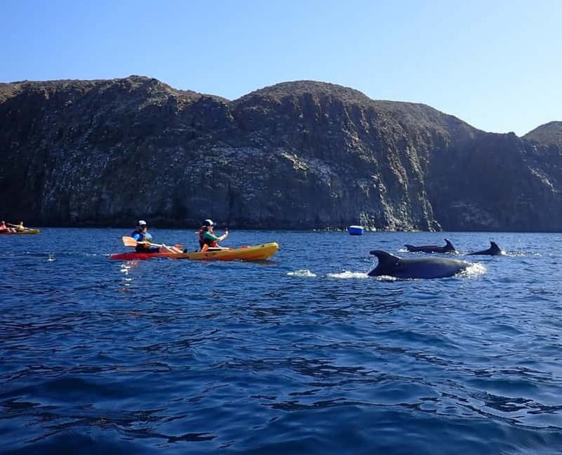 Tenerife: Kayak & Snorkel Tour with Snacks & Sea Life Safari - Gearing Up: Wetsuit, Life Jacket, and Real-World Comfort