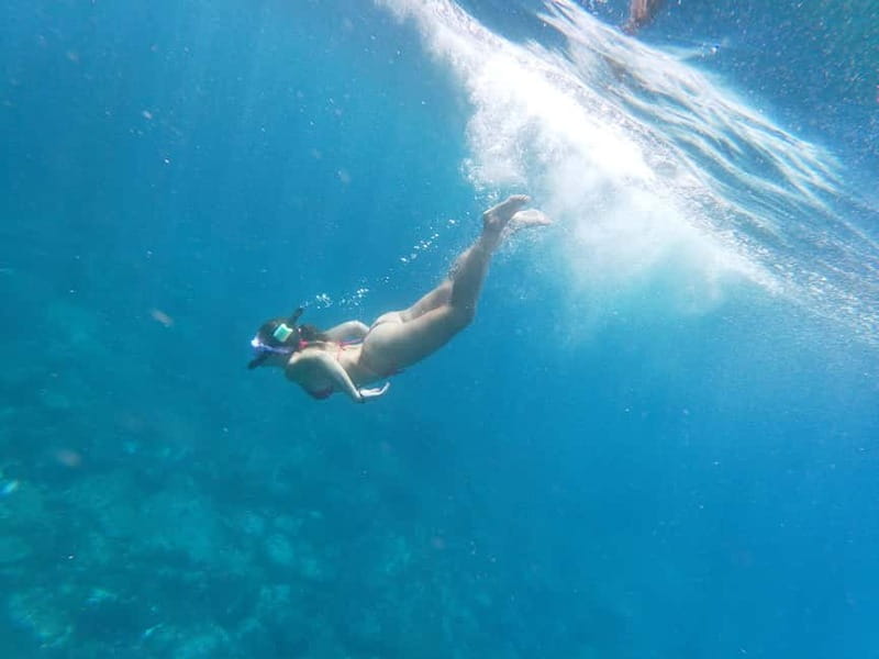Tenerife: Kayak & Snorkel with Local Fauna, Photos Included - Photos, Videos, Showers, and the Small Extras That Matter