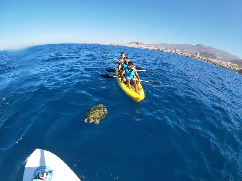 Tenerife: Kayak & Snorkel with Local Fauna, Photos Included - Who This Tour Suits (and Who Should Skip It)