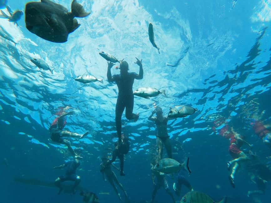 Tenerife: Kayak & Snorkeling, Marine Fauna Watching - Getting on the water from La Arenita: the tour’s first 15 minutes