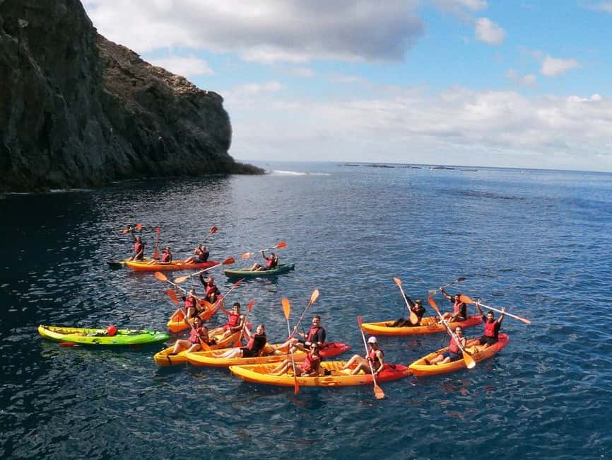 Tenerife: Kayak & Snorkeling, Marine Fauna Watching - Costa Adeje/El Palmar marine safari: who this tour fits best