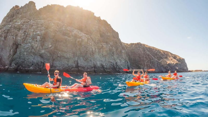 Tenerife: Kayak & Snorkeling Tour - Small Groups - Dolphin and sea turtle spotting from the kayak