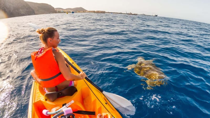 Tenerife: Kayak & Snorkeling Tour - Small Groups - The return paddle, rinse-down, and the optional photo add-on