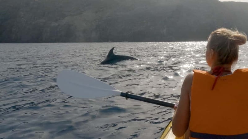 Tenerife: Kayak & Snorkeling Tour - Small Groups - Who this tour suits best (and who should skip it)