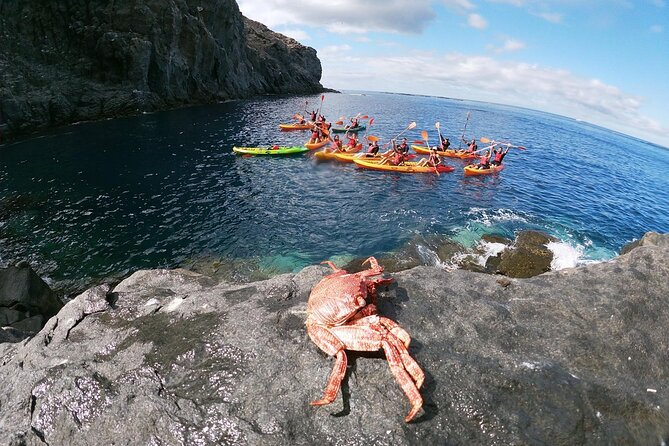 Tenerife Kayak Tour with Marine Wildlife Spotting and Snorkeling - Safety Briefing, Life Jackets, and Stable Kayaks