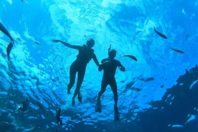 Tenerife Kayak Tour with Marine Wildlife Spotting and Snorkeling - Meeting at Easy Kayak Tenerife in Playa La Arenita