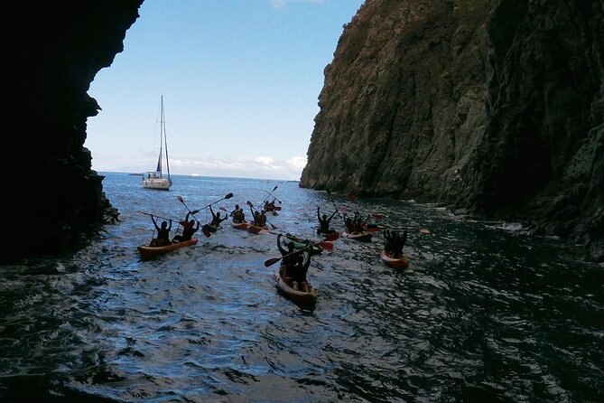 Tenerife Kayak Tour with Marine Wildlife Spotting and Snorkeling - The Route Stops: Palm-Mar, Costa Adeje, and Adeje