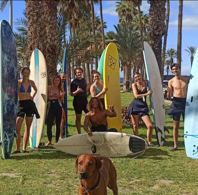 Tenerife: Paddle Surf Experience in Playa de las Américas - Avenida Rafael Puig Lluvina meeting point: arrive early and get sorted