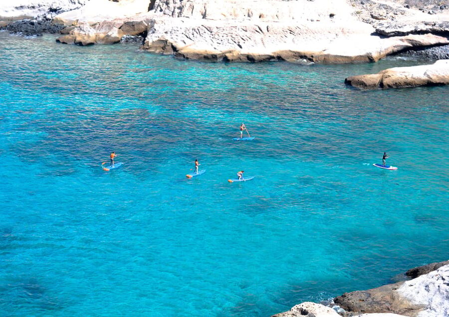 TENERIFE SUR | unforgettable SUP - SNORKELING EXPERIENCE - Getting there: public transport works, no pickup required