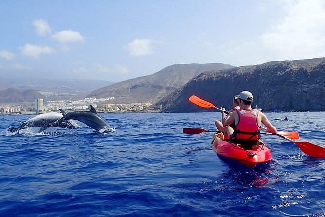 Tenerife: Turtle & Dolphin Kayak Tour with Snorkel & Wetsuit - Meet at Xplore Tenerife and Get Your Wetsuit On