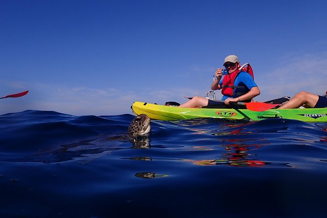 Tenerife: Turtle & Dolphin Kayak Tour with Snorkel & Wetsuit - Snorkel Stop: Wetsuit Warmth and Clear-Water Fish Watching
