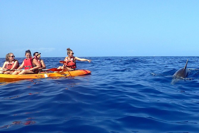 Tenerife: Turtle & Dolphin Kayak Tour with Snorkel & Wetsuit - Return Paddle With Mount Teide in View