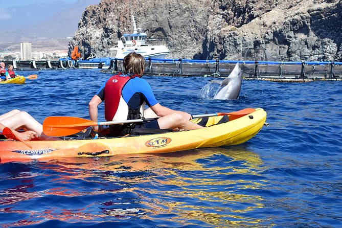 Tenerife: Turtle & Dolphin Kayak Tour with Snorkel & Wetsuit - How Hard Is This Kayak Tour Really?